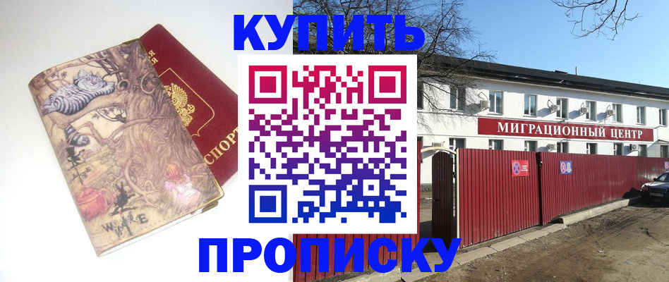 прописка от собственника в Курске