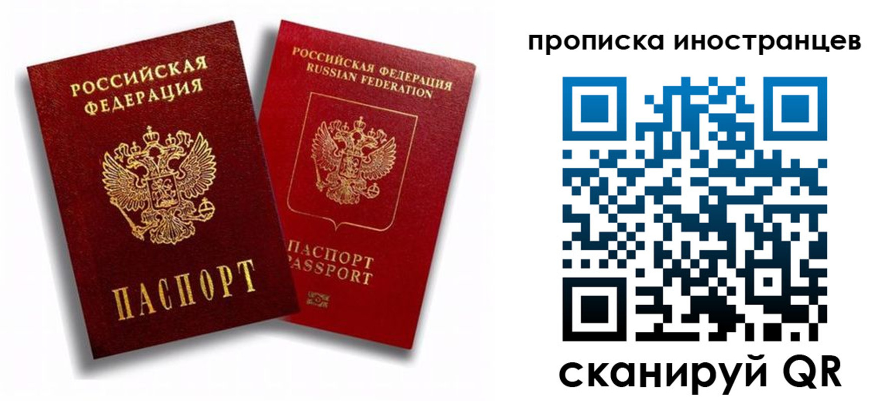 прописка паспорт в Курске